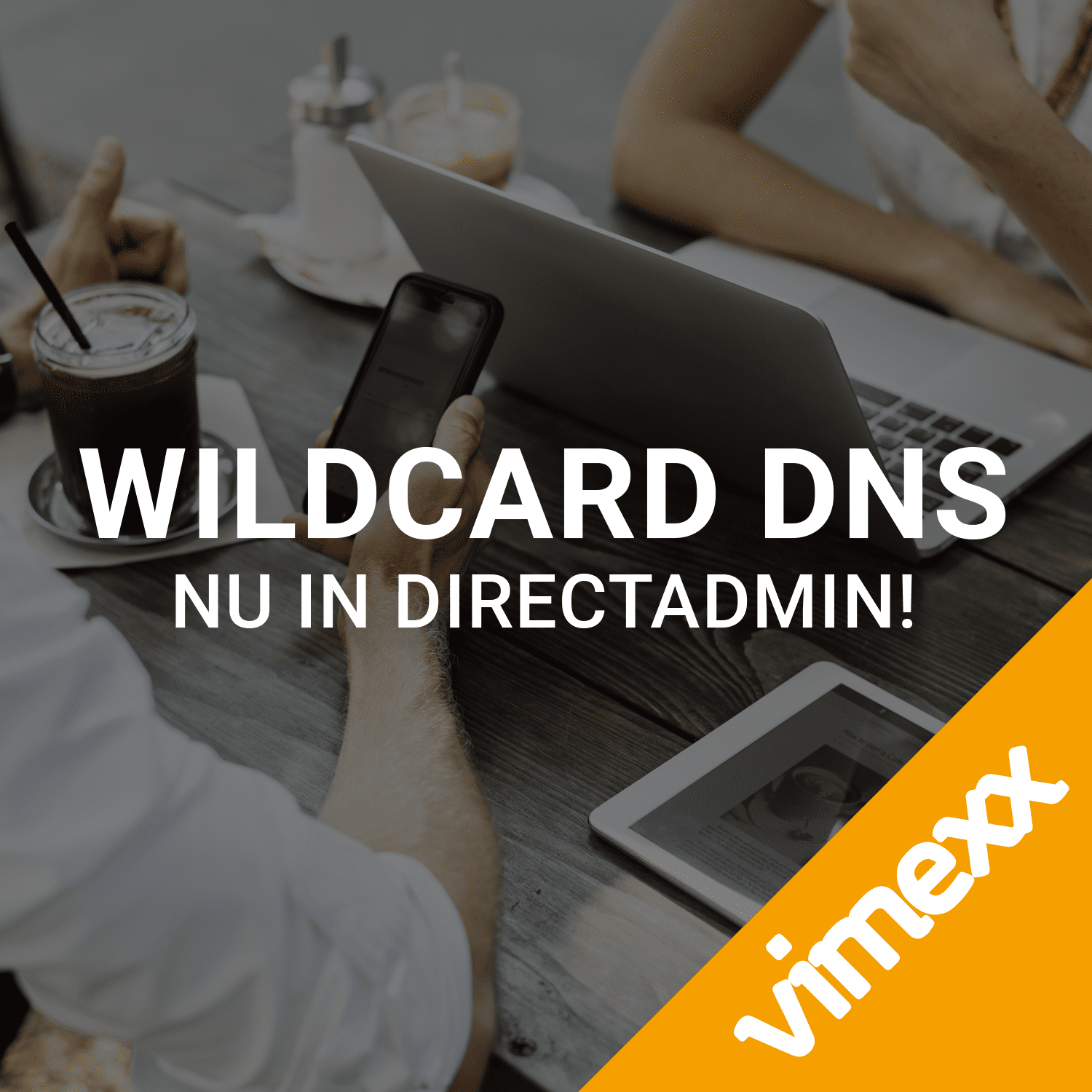 Wildcard DNS vimexx