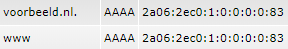 DNS AAAA records