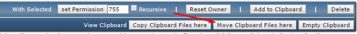 Directadmin move files