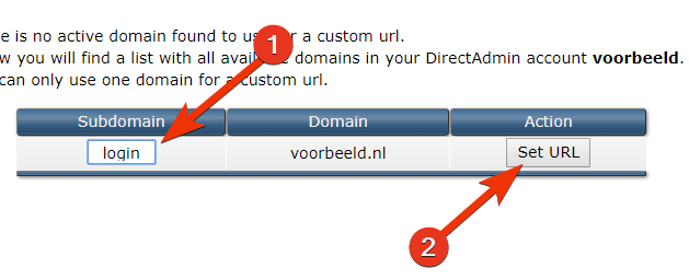 set subdomain custom url