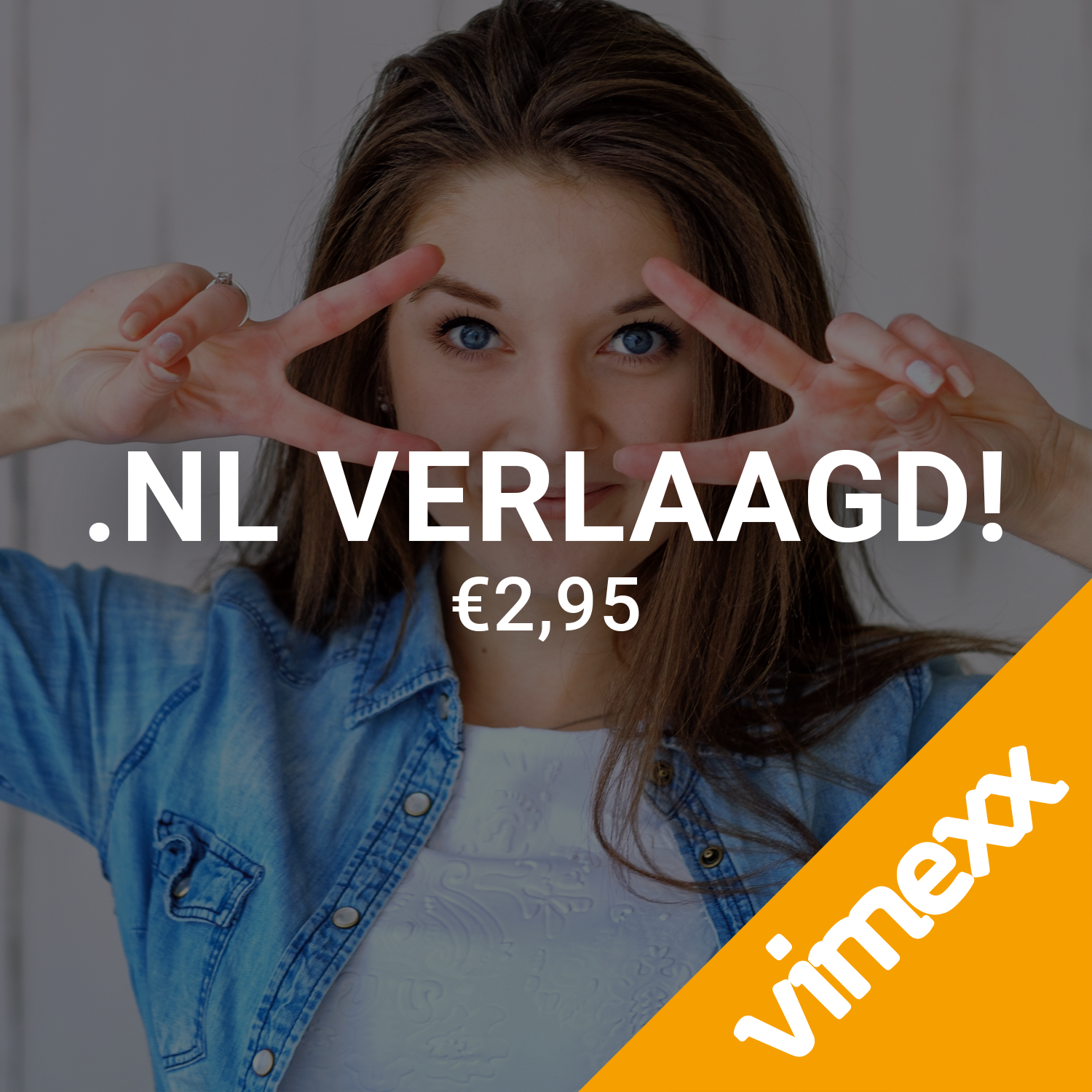 .NL domeinnaam voor €2,89 per jaar.