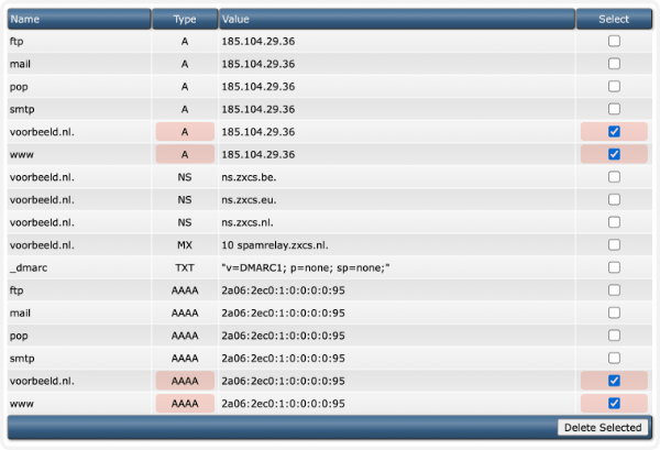 delete dns records